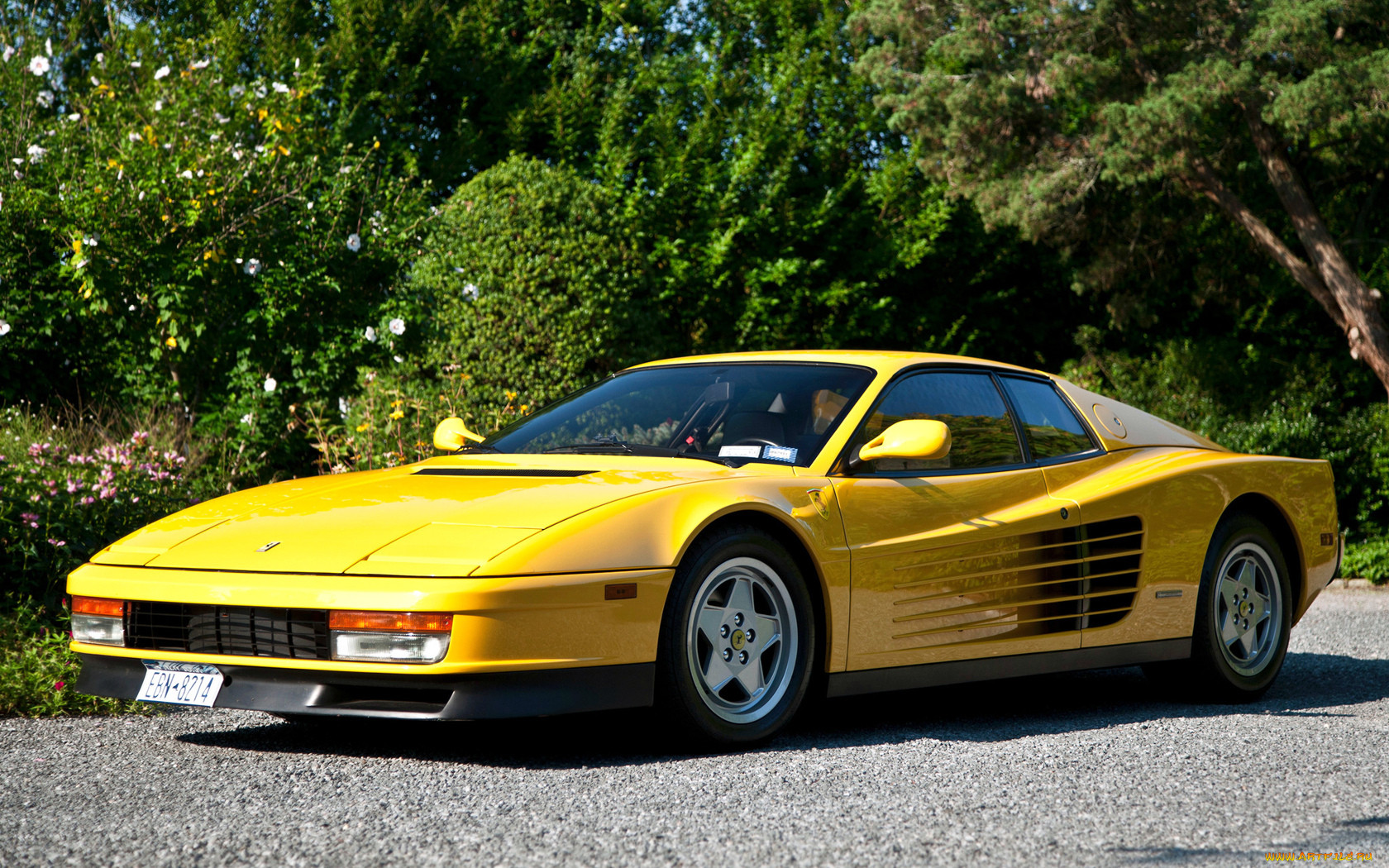 , lamborghini